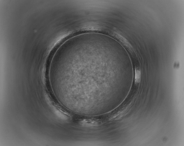 X0000094800627200711161458
