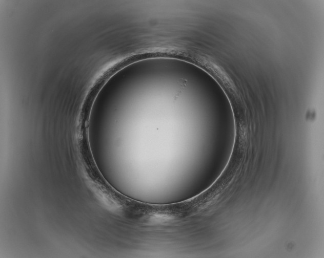 X0000094800628200711161458