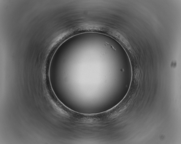 X0000094800629200711161459