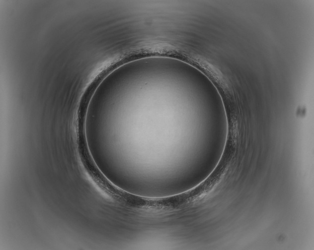 X0000094800630200711161459