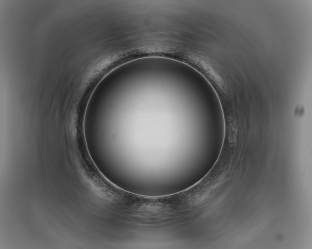 X0000094800631200711161459