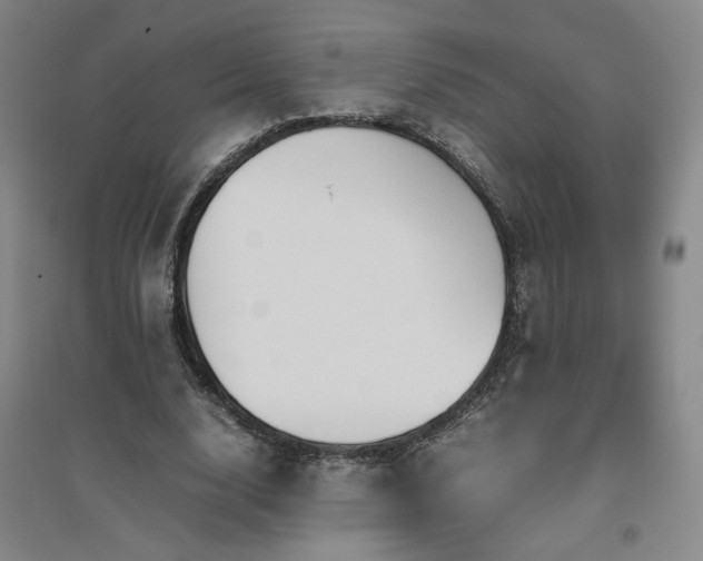 X0000094800632200711161459