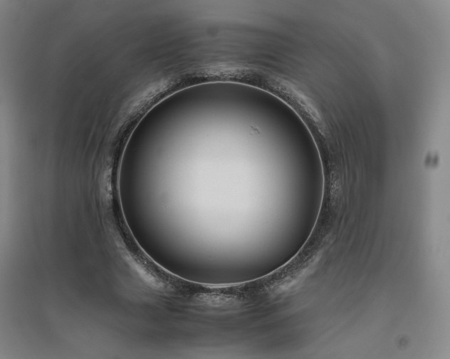 X0000094800633200711161459
