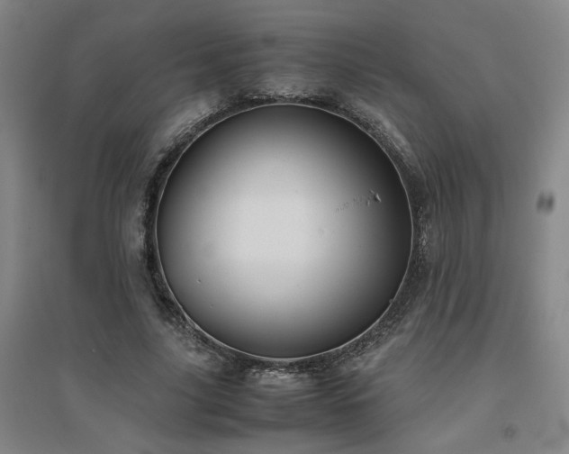 X0000094800635200711161459