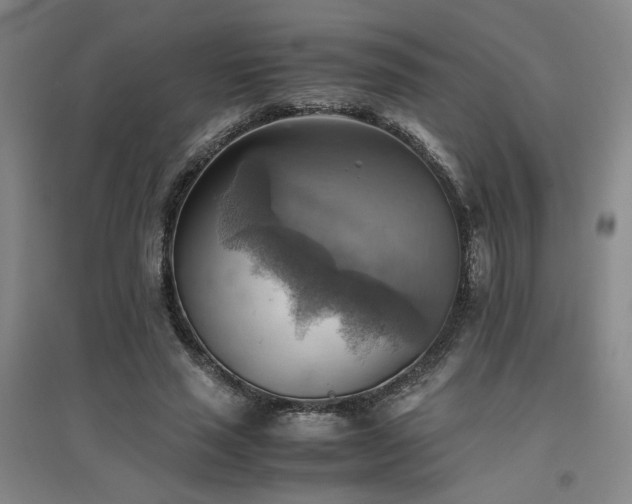X0000094800637200711161459