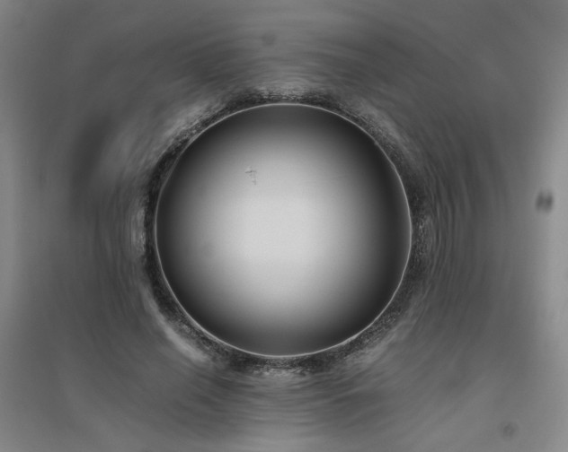 X0000094800638200711161459