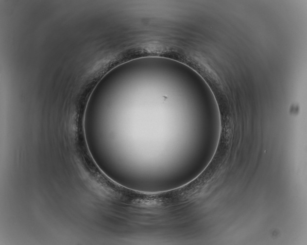 X0000094800639200711161459