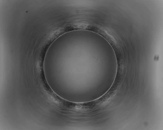 X0000094800641200711161459