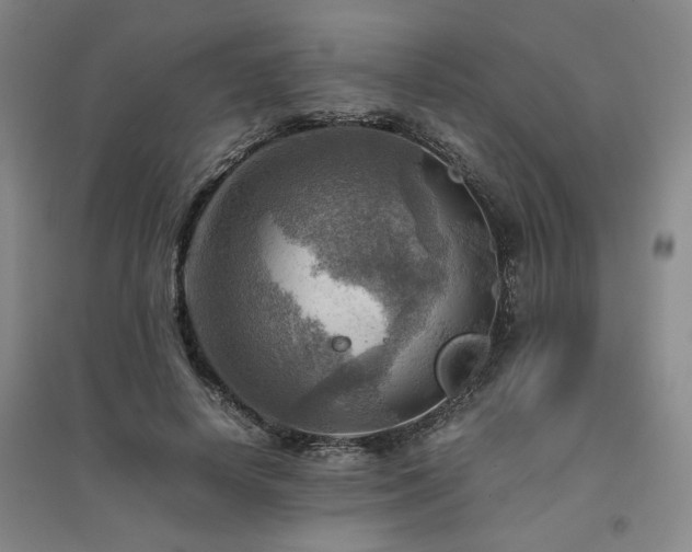 X0000094800642200711161459
