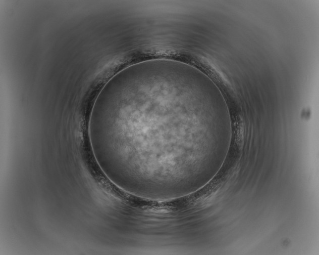 X0000094800643200711161459