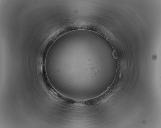 X0000094800644200711161459