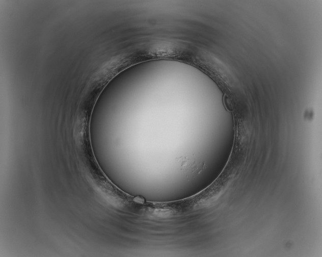 X0000094800645200711161459
