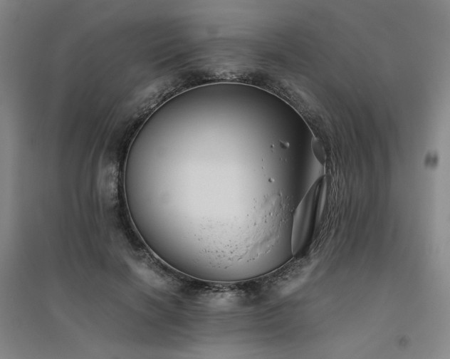 X0000094800646200711161459