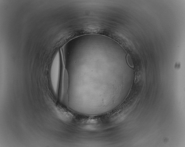 X0000094800647200711161459