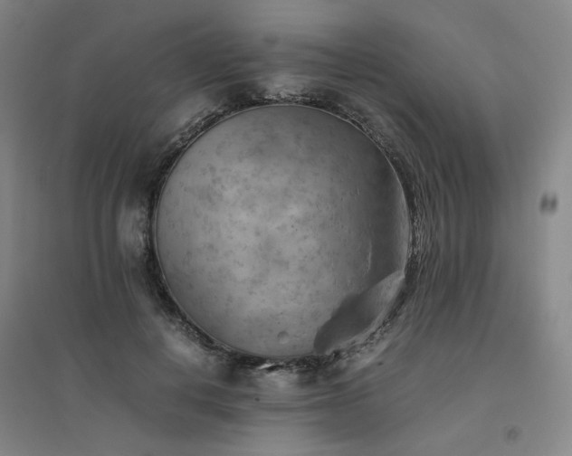 X0000094800648200711161459