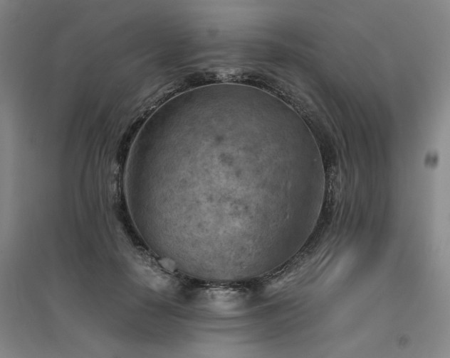 X0000094800650200711161459