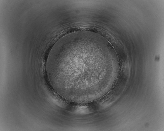 X0000094800651200711161459