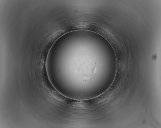 X0000094800652200711161459