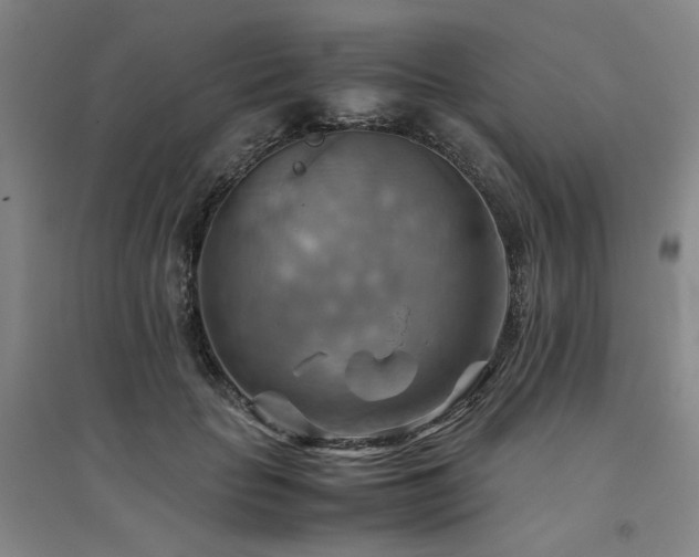 X0000094800653200711161459