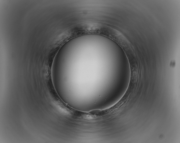 X0000094800654200711161459