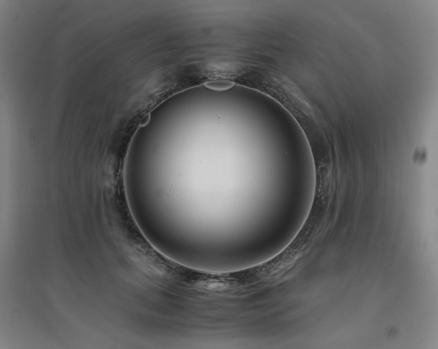 X0000094800655200711161459