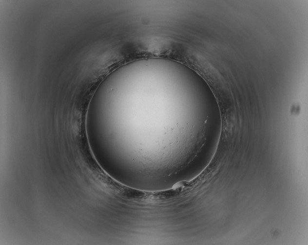 X0000094800656200711161459