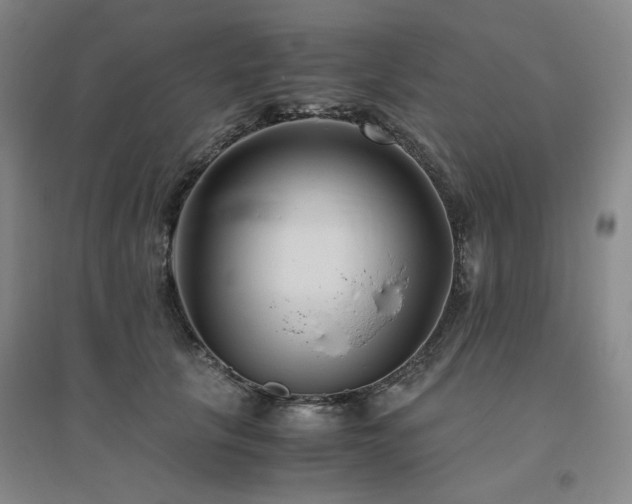 X0000094800657200711161459