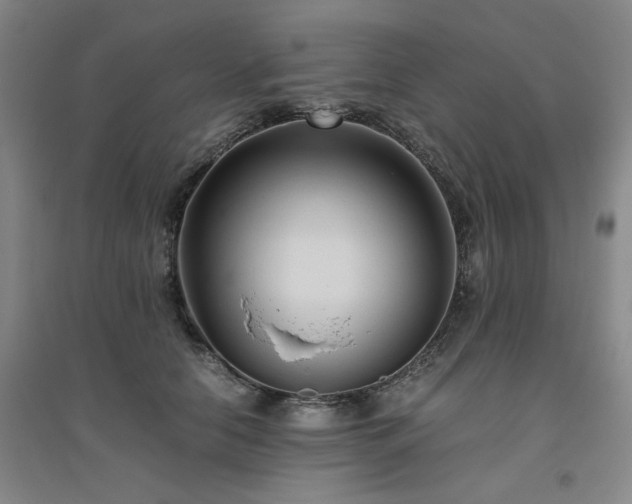 X0000094800658200711161459