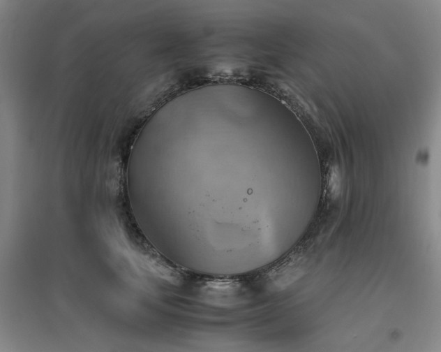 X0000094800659200711161459