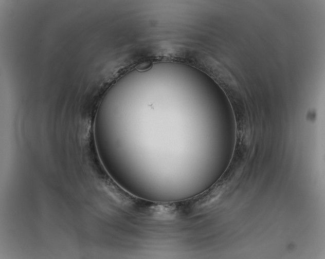 X0000094800660200711161459