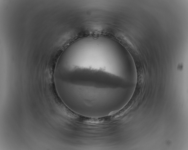 X0000094800661200711161459