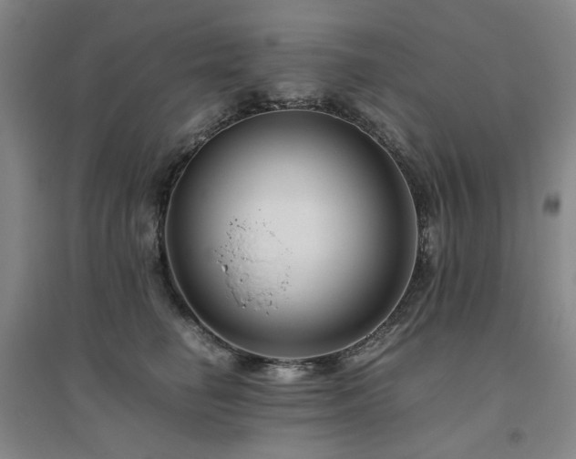 X0000094800662200711161459