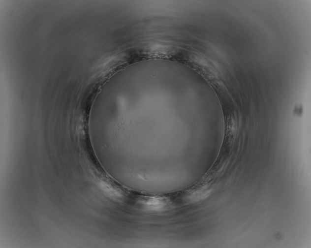 X0000094800663200711161459