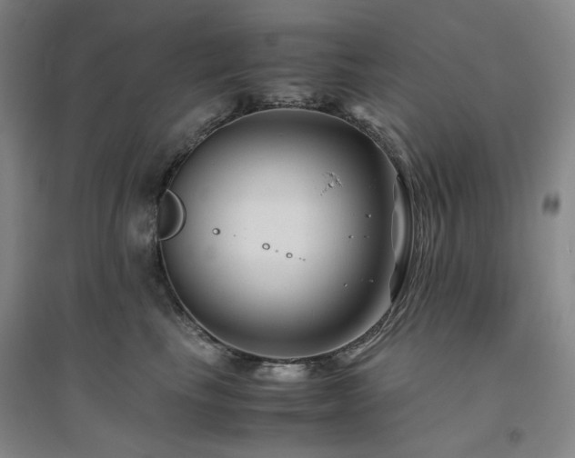 X0000094800665200711161459