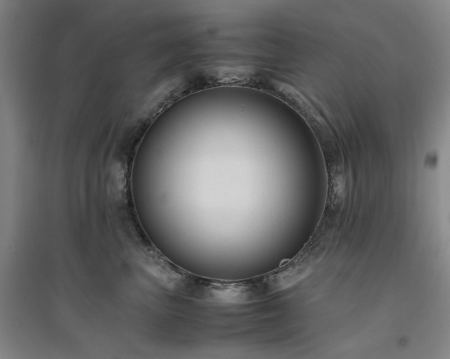 X0000094800667200711161459