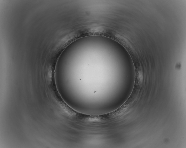 X0000094800668200711161459
