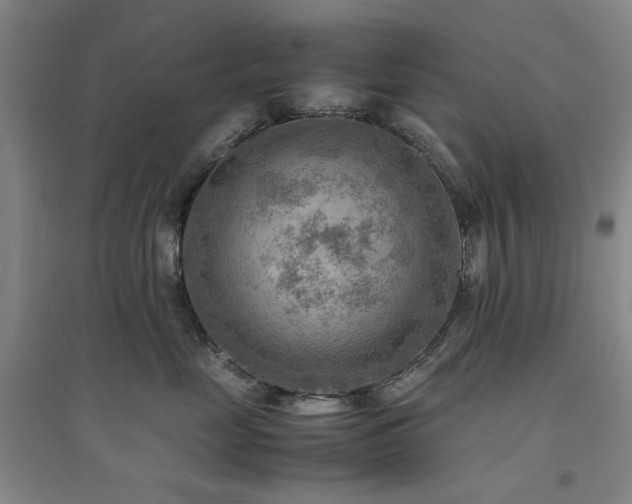 X0000094800669200711161459
