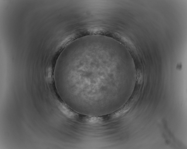 X0000094800670200711161459