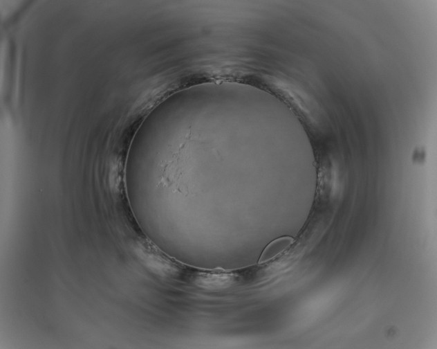 X0000094800671200711161459