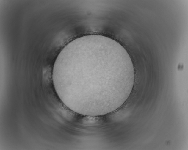 X0000094800672200711161459