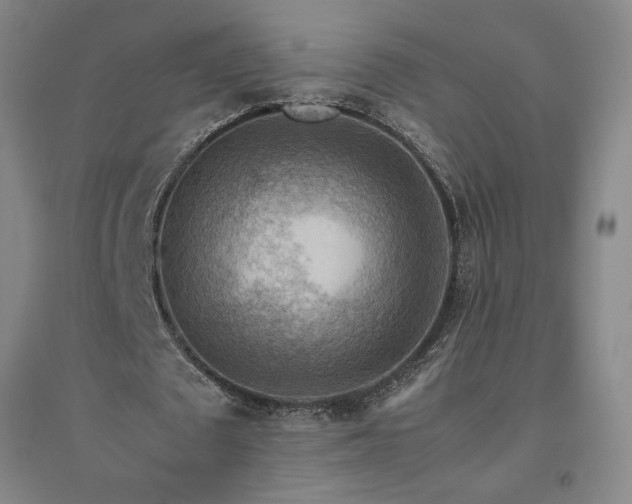 X0000094800673200711161458