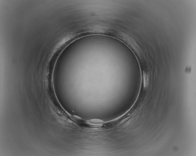 X0000094800675200711161458