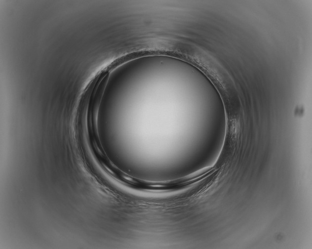 X0000094800676200711161458