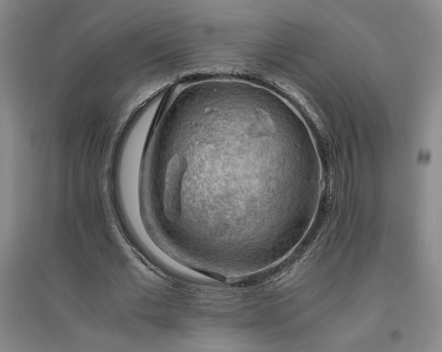 X0000094800677200711161458