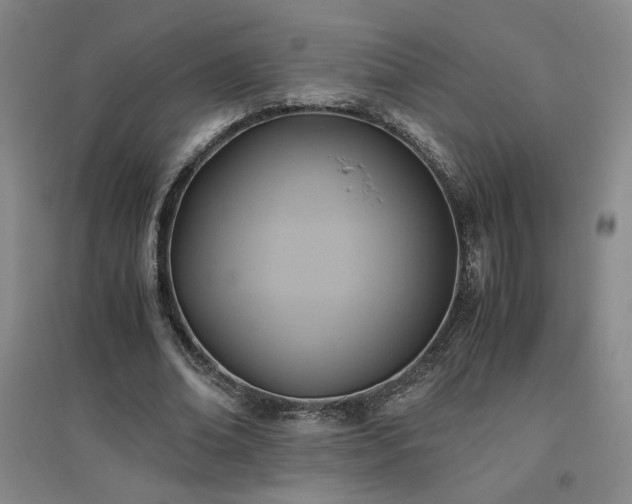 X0000094800678200711161458