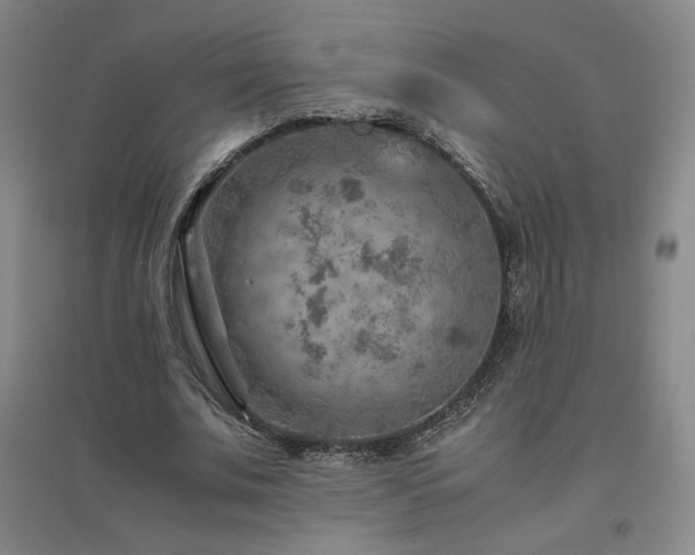 X0000094800679200711161458