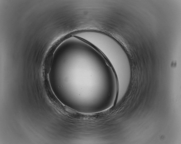 X0000094800680200711161458