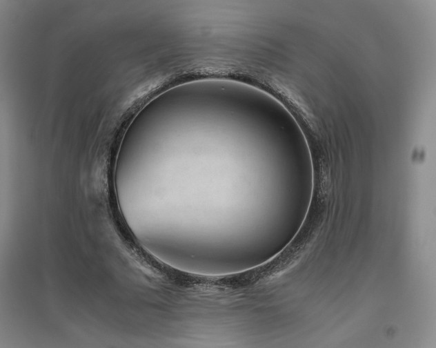 X0000094800681200711161458