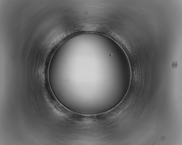 X0000094800682200711161458