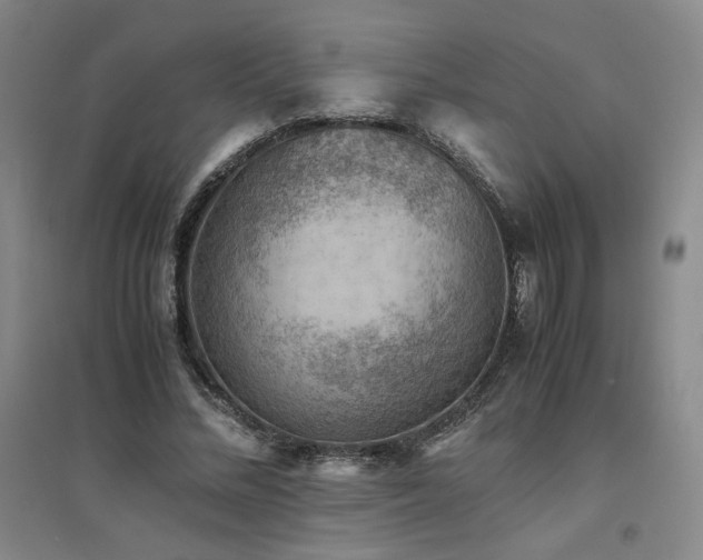 X0000094800684200711161458